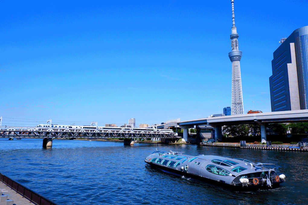 隅田川クルーズとスカイツリーの画像