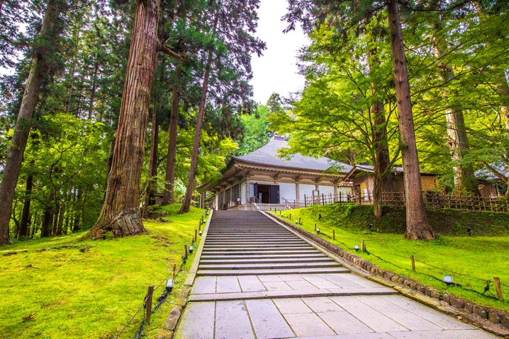 平泉中尊寺の画像