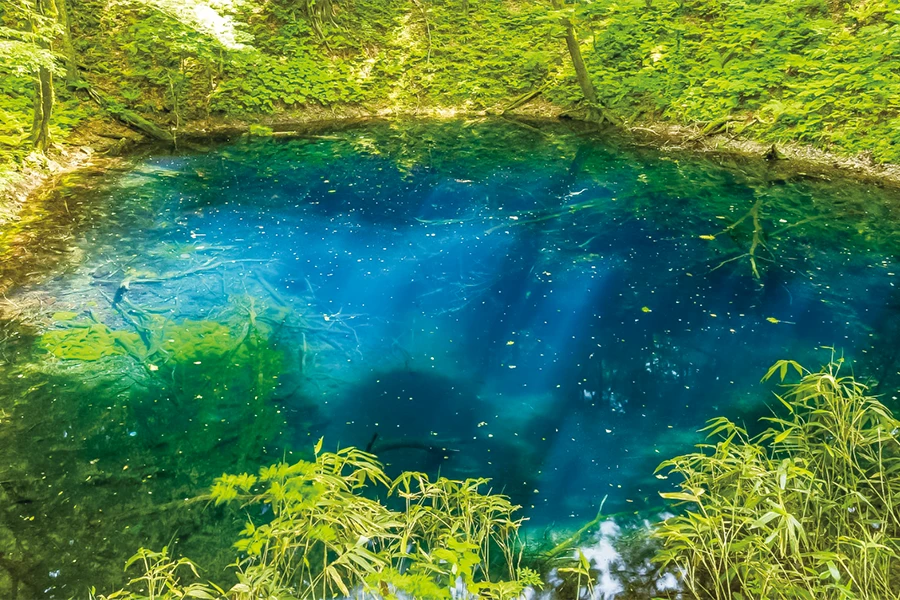 白神山地 十二湖 青池の画像
