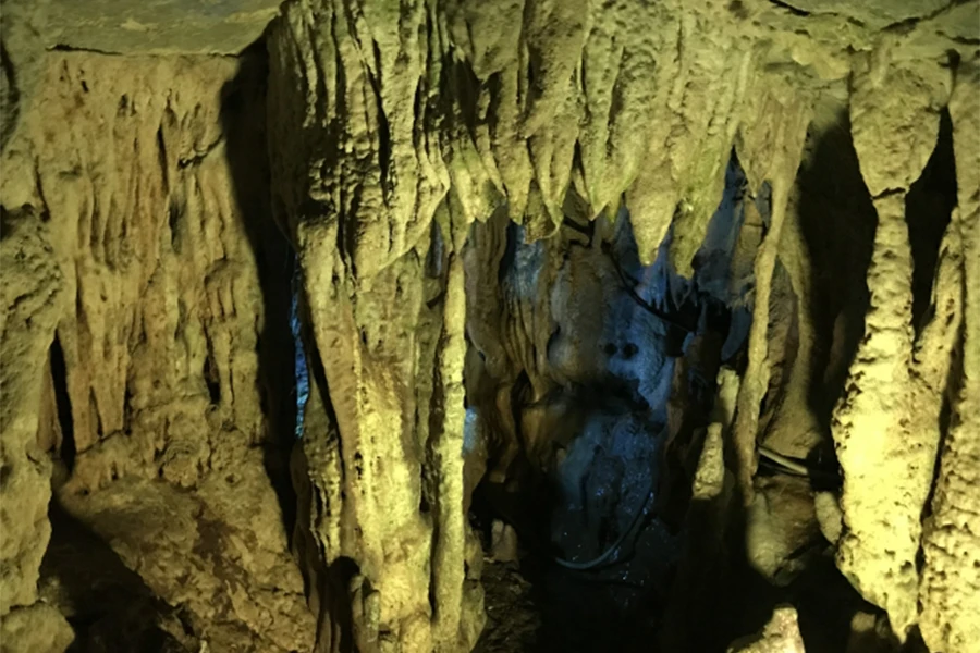 龍河洞の画像