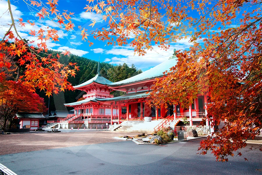 世界遺産 比叡山延暦寺の画像