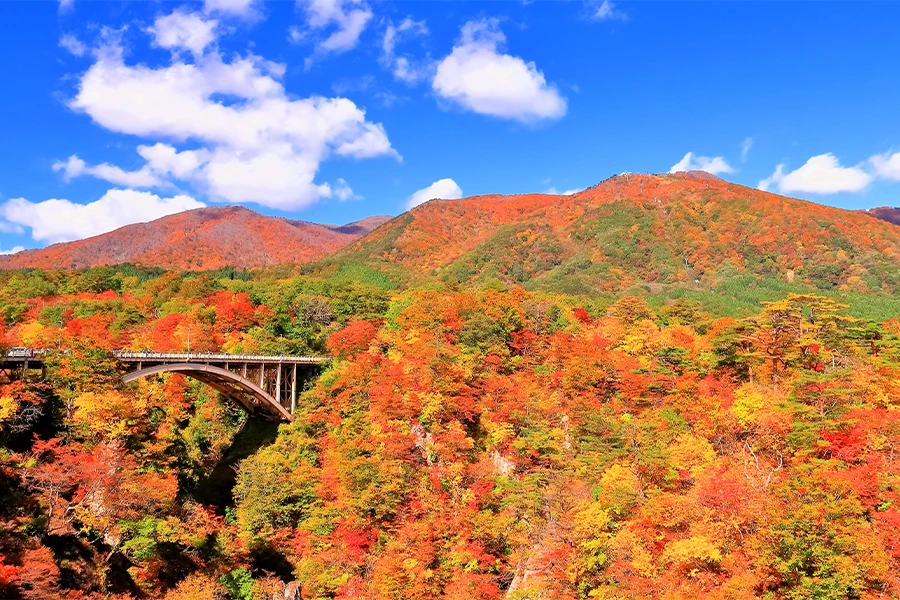 紅葉 鳴子峡の画像